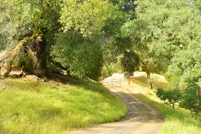 DSC_6793 (Large).JPG